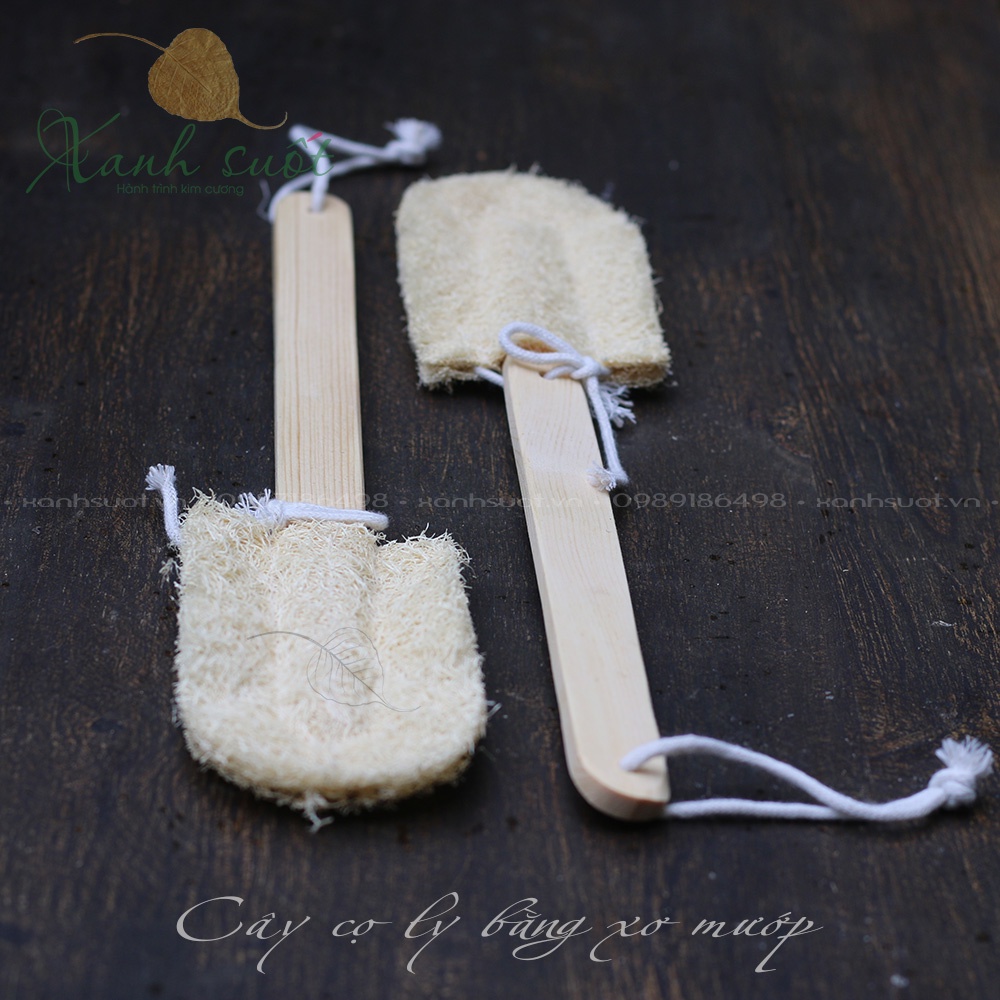 [Vi Lâm] Cây Cọ Xơ Mướp Rửa Ly Cốc Chén (Có miếng thay)- Sạch Sẽ, An Toàn- Loofah Kitchen Cleaning Brush [Xanh Suốt]