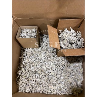 XÔ TRẮNG CÀNH, XÔ TRẮNG LÁ RỜI (20g, 50g)_SAGE GARDEN