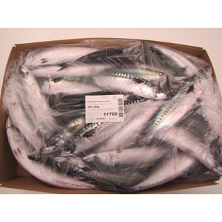 Cá Saba Nhật. 55.000/Kg. Giao hoả tốc HCM