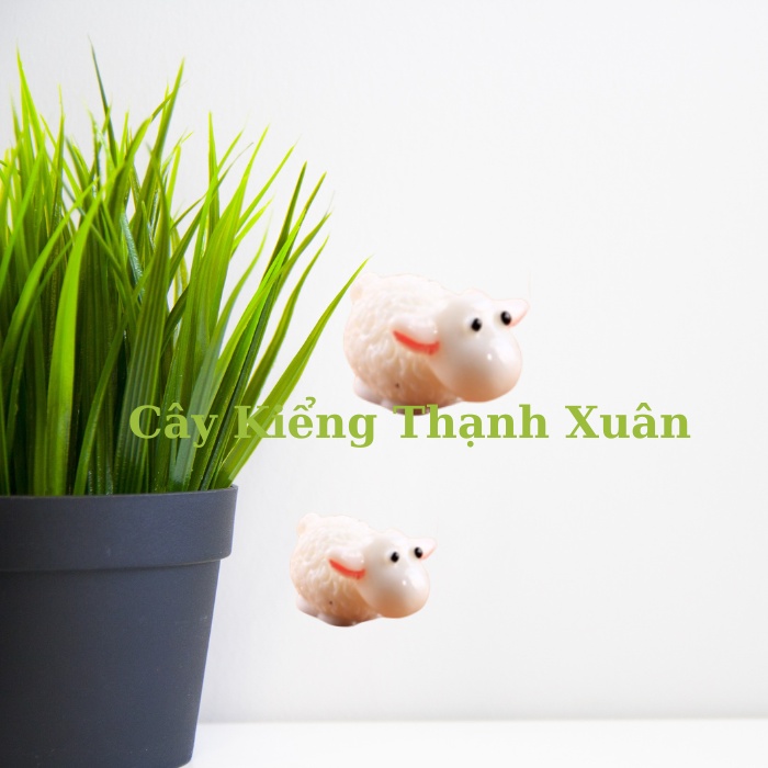 Phụ kiện trang trí tiểu cảnh Cừu lông xù, trang trí sen đá, xương rồng