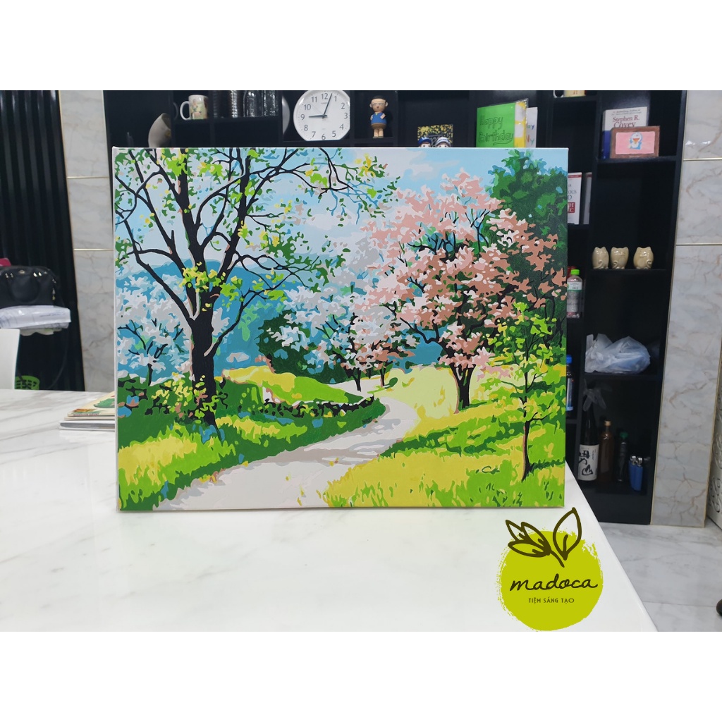 Tranh tô màu 40x50cm có khung Đường xuân T16
