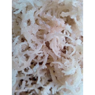 Rong sụn rong biển trắng 500g dùng làm gỏi,nấu chè -rong sụn gai