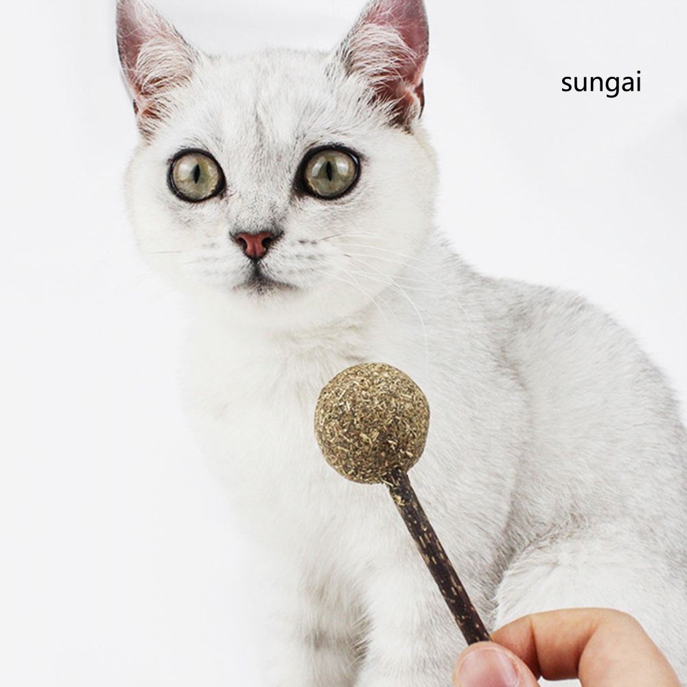 Que bạc hà đồ chơi làm sạch răng hình cây kẹo mút cho mèo thú cưng tiện dụng cao cấp