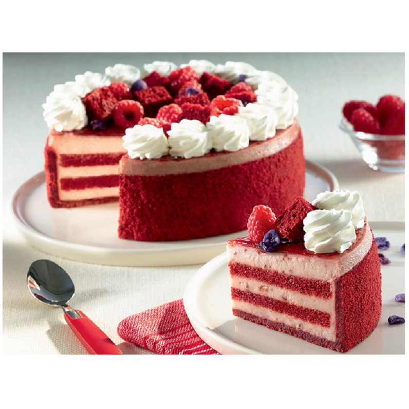 [TÚI LỚN 5 Kg – RED VELVET] BỘT TRỘN SẴN LÀM BÁNH ĐA ỨNG DỤNG [VN] PURATOS Tegral Satin Moist