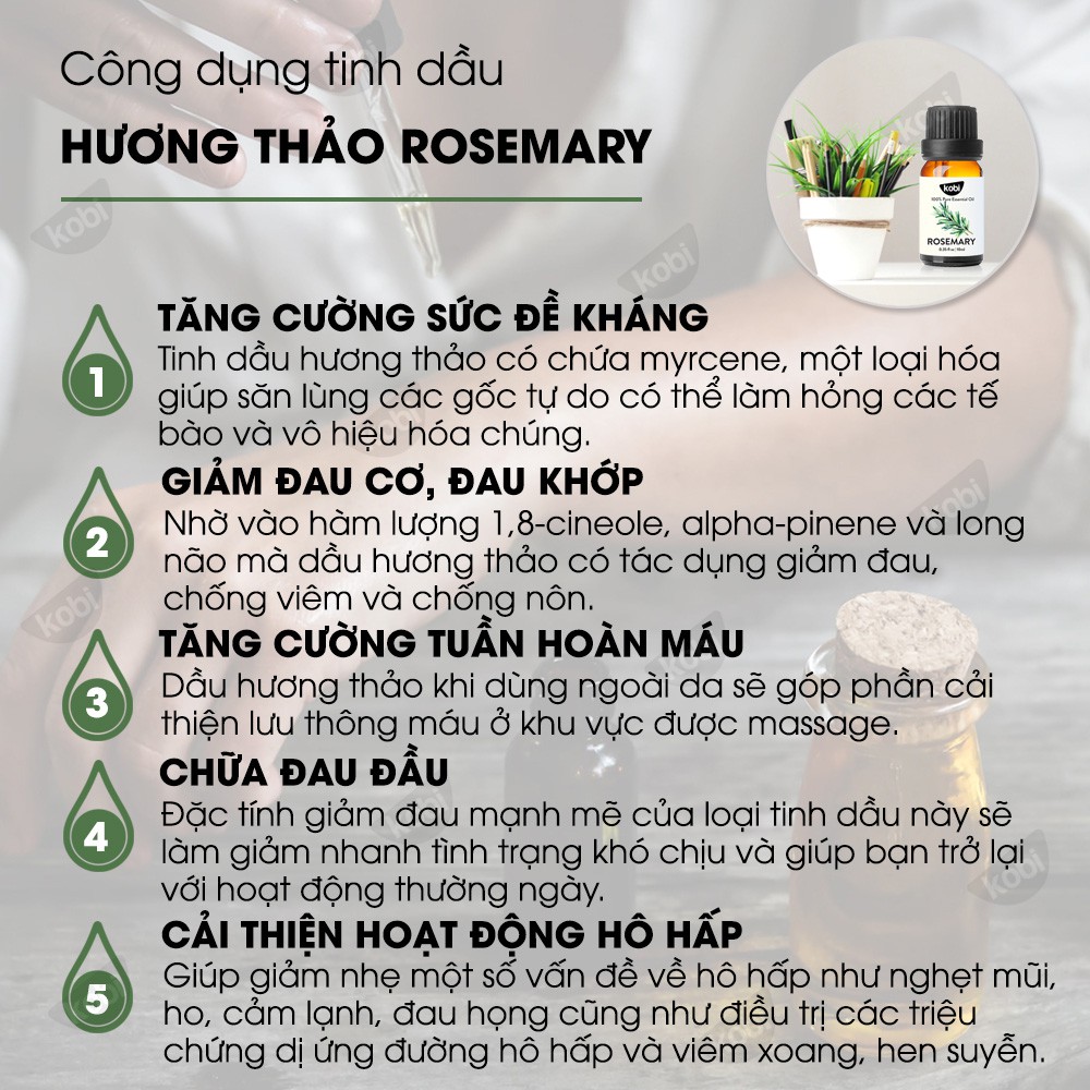 Tinh dầu Hương Thảo Kobi Rosemary essential oil giúp thơm phòng, giảm stress hiệu quả - 30ml