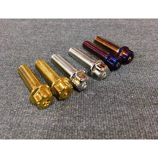 Ốc salaya 10ly