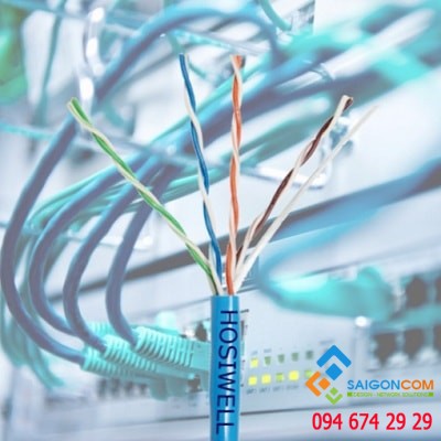 Cáp mạng Hosiwell Cat.5e UTP 25P x 24 AWG