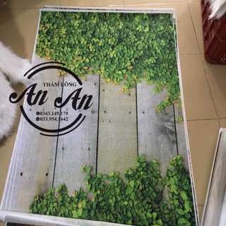 Vải nền hình 3d chụp ảnh