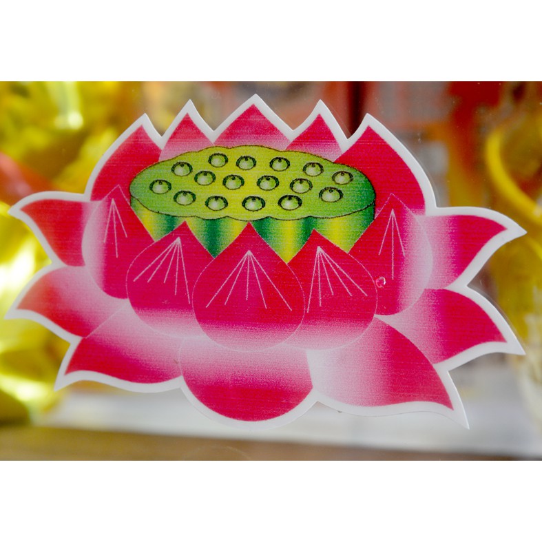 Decal hoa sen dán tường,dán xe,trang trí