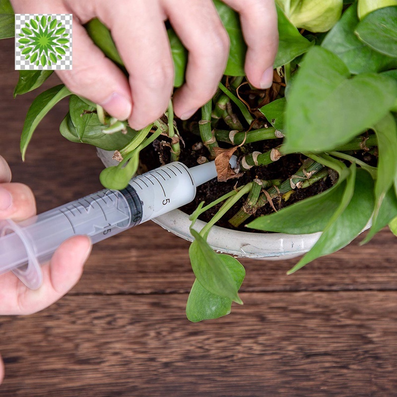 1 Ống Tiêm Nhựa 20ml / 60ml Không Kim Dùng Trong Thí Nghiệm Khoa Học, Khử Trùng CR1