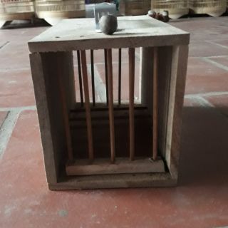 Lồng hộc chứa chim
