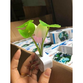 Đèn ngủ hình cây nấm