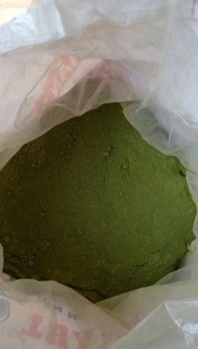 Bột lá găng gói 200g