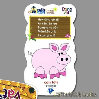 Gấu Con Thông Minh (Bộ 6 Cuốn)