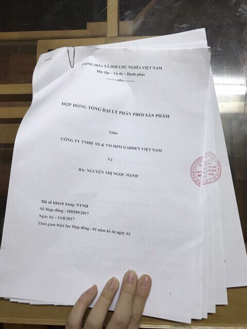 Son Gold Chính Hãng Minigarden | BigBuy360 - bigbuy360.vn