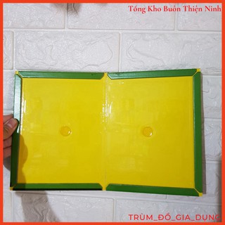 Combo 10 miếng dính chuột cao cấp
