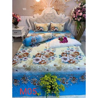 bộ chăn ga gối phủ trần bông[ 1m6 x 2m, 1m8 x 2m, 2m x 2m2 ]