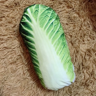 Gối ôm 3d