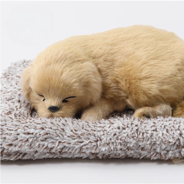 Thú Bông Các Mẫu Chó Con Dễ Thương, Than Hoạt Tính, Lọc Không Khí, Làm Đồ Decor, Trang Trí Taplo Ô Tô,Quà Tặng Sinh Nhật