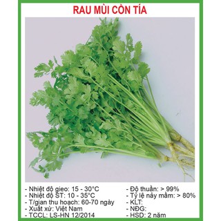 Hạt Giống Mùi Cồn Tía 20 Gram