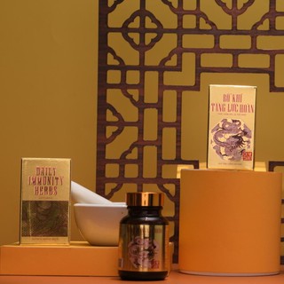 BỔ KHÍ TĂNG LỰC HOÀN