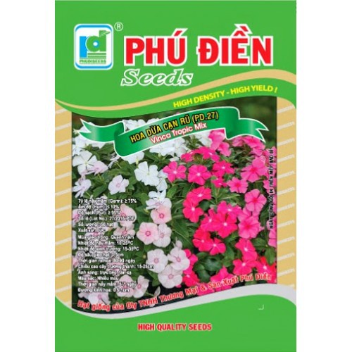 hạt giống Dừa cạn rủ