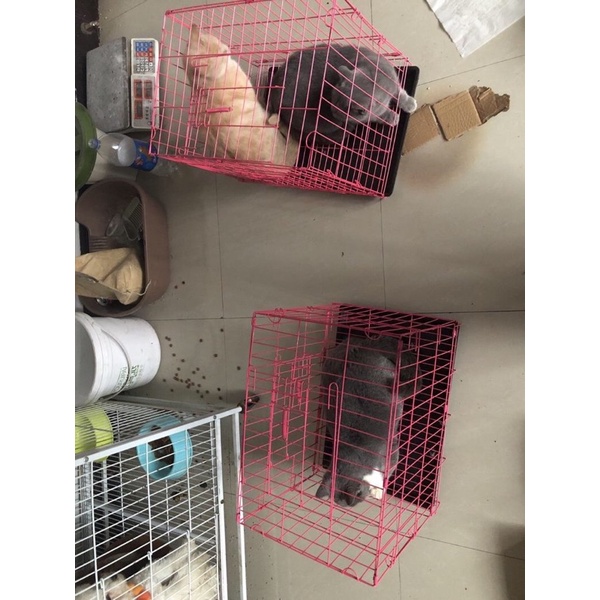 Lồng cho chó mèo, chuồng mèo, chó, thỏ, bọ ú sơn tĩnh điện