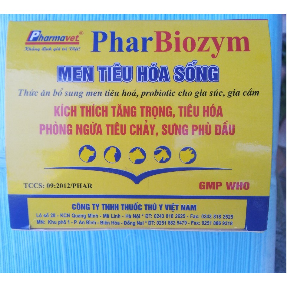 Men tiêu hóa Phar bio hỗ trợ tiêu hóa cho chó mèo (Biotic của công ty Pharmavet)