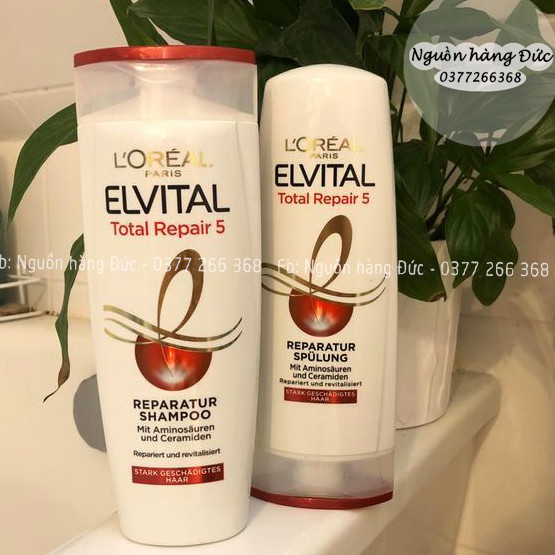 Dầu gội xả Loreal Đức 5in1 phục hồi hư tổn toàn diện