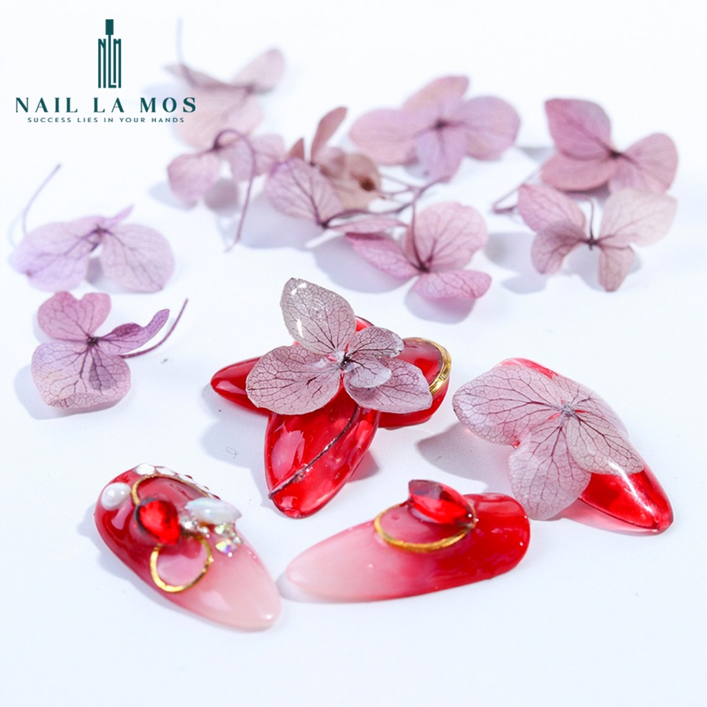 Hoa khô trang trí móng tay - Set 7 màu hoa khô nail, cánh hoa to và mỏng đắp ẩn theo phong cách Hàn Nhật