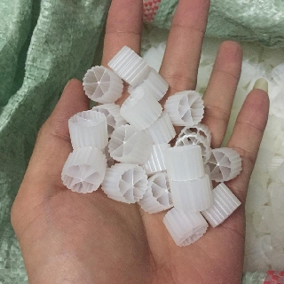Hạt KaldneS 100gram Hạt lọc tạo vi sinh cho hồ cá Loại 8 cánh