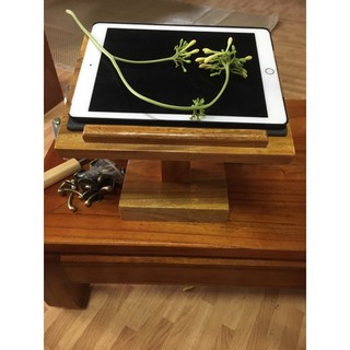 Giá đỡ ipad/điện thoại