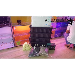 Combo trọn bộ lọc Baki cho hồ kính, hồ xi măng từ 1 - 2 khối cả máy loại tốt
