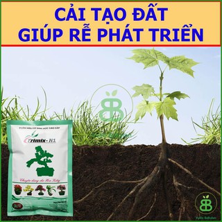 Phân Hữu Cơ Sinh Học Bình Điền