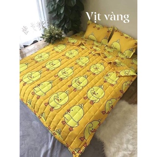 Bộ ga gối phao poly cotton 5 món