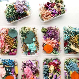 Dried Flowers Package Mixed Eternal Flowers and Foliage for DIY Aromatherapy Candles Greeting Card Epoxy Craft Decor