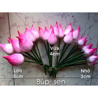 Búp sen đất sét