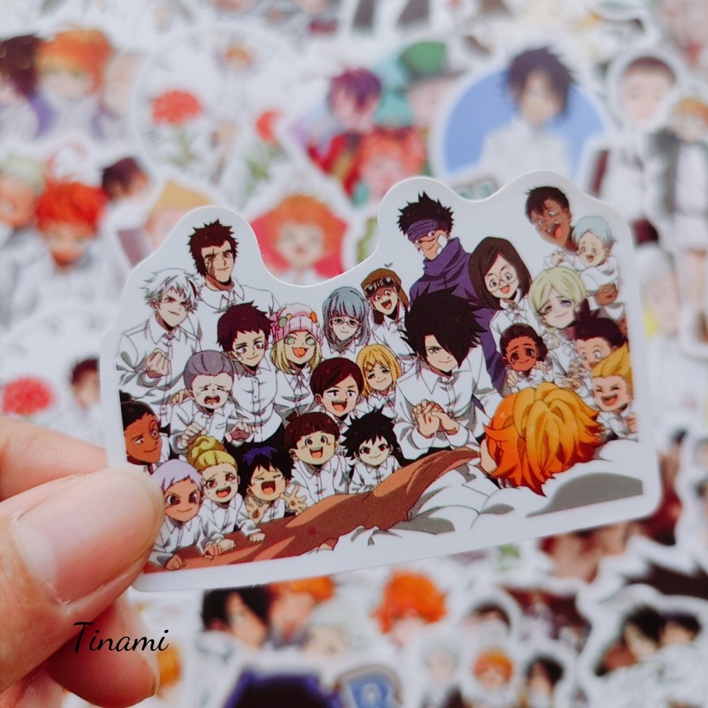 Bộ 50 Sticker Yakusoku no Neverland Miền đất hứa hình dán chống nước trang trí decor Tinami