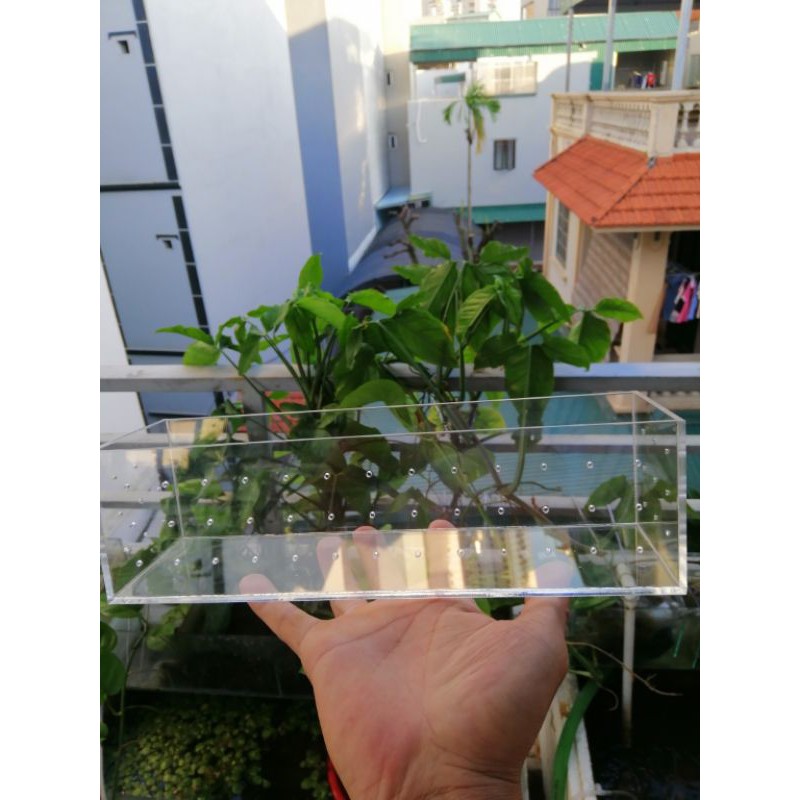 Hộp đựng phân nền acrylic cho hồ tép