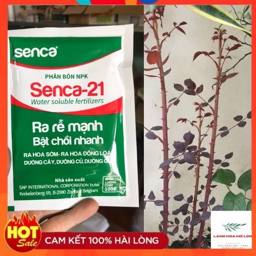 Phân Bón NPK Senca - 21  - Ra Hoa Sớm - Đồng Loạt - Dưỡng Cây siêu khỏe