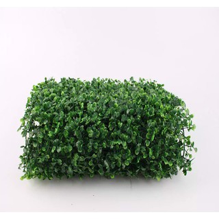 Thảm cỏ Xoong (60x40)