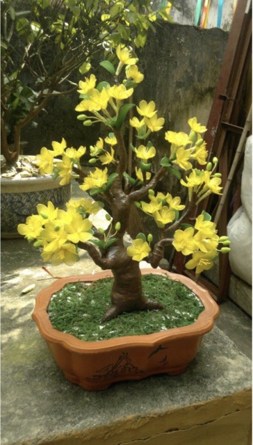 Combo nguyên liệu làm cây mai bonsai bằng vải voan