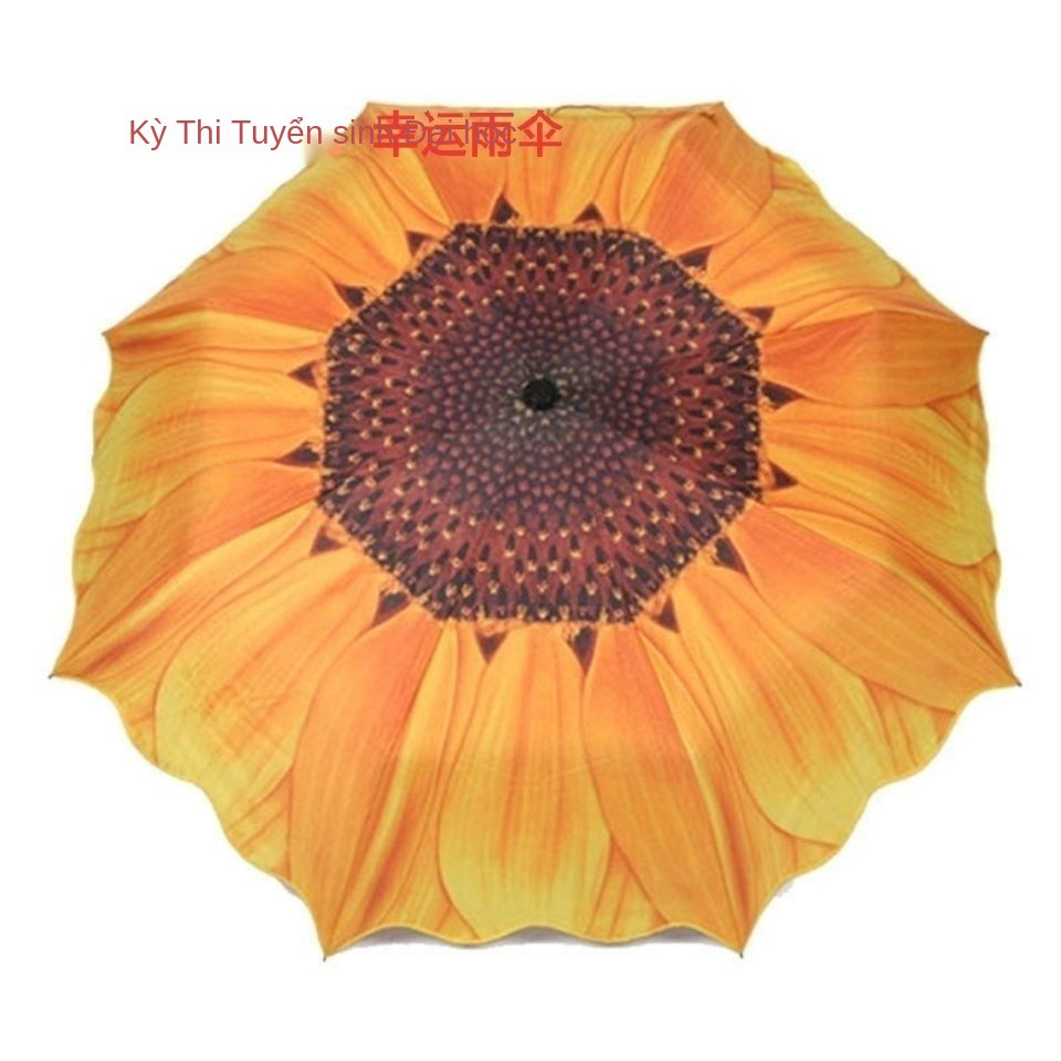 Gao Kao Sunflower đạt giải nhất trong một cú ngã, ô chống nắng tia UV 30% dù đi mưa hay nắng, nhựa bạc sáng tạo