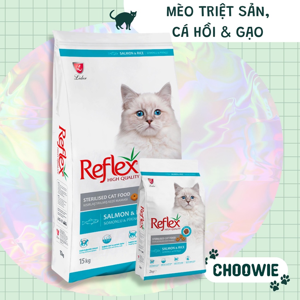 Hạt mèo Reflex High Quality 2 kg | Đồ ăn cho mèo