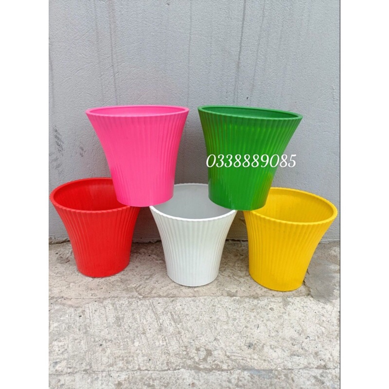 Chậu nhựa nữ hoàng trồng cây derco siêu đẹp, video, hàng sẵn kho