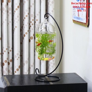 Bể cá mini C33 -15 (bình dưa 20cm)