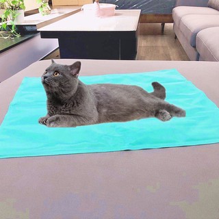 Đệm nước size to cho thú cưng