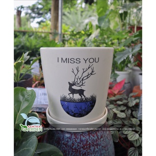 Chậu sứ có dĩa - Chậu để bàn trung (Giao mẫu ngẫu nhiên)