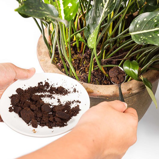Phân Trùn Quế LAVAMIX - Phân Bón Bổ Sung Dinh Dưỡng, Cải Tạo Đất Hiệu Quả - Túi 2kg