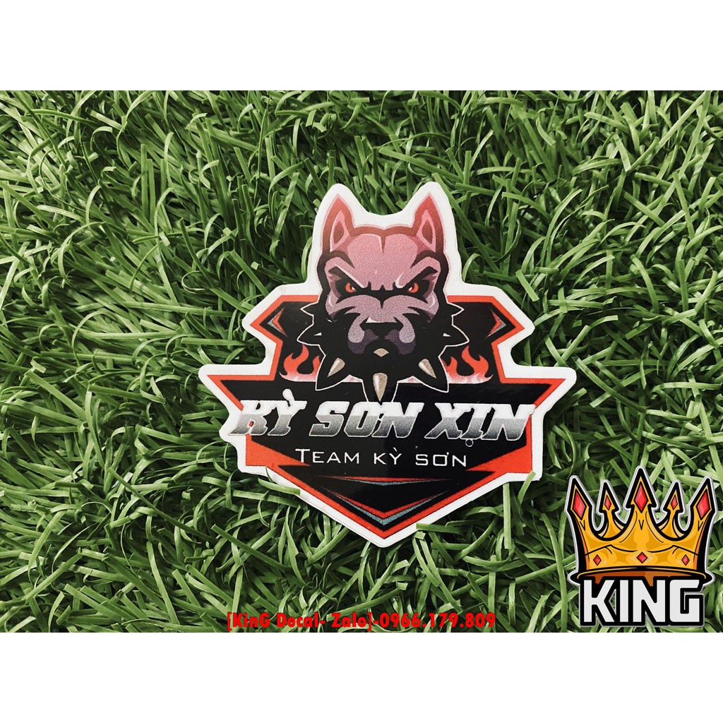 Tem Rời Wave  Dior V11 50cc,100cc - Ảnh Thật #Temxemay#Decal #Wave50 #Wave100 #Wave100cc